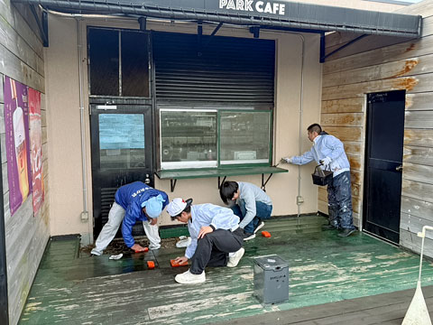 古い塗膜をケレン作業で丁寧に削り落とします（2025年1月24日 吹田市万博記念公園ボランティア塗装）