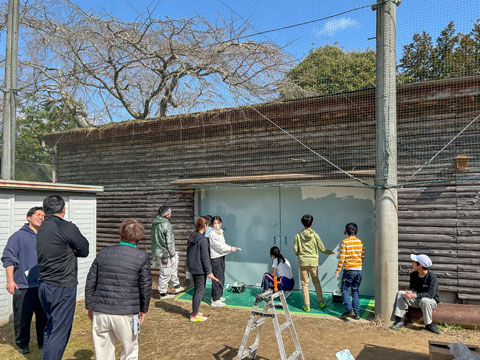 晴れて外での作業がしやすい日でした（2026年3月5日高槻市立樫田小学校ボランティア塗装）