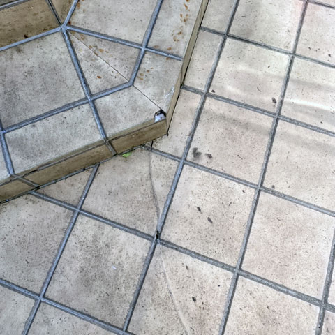 振動や衝撃などの影響により、玄関前のタイルが破損して内部が露出しています。