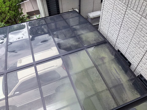 紫外線や雨水などの影響により、カーポートのアクリル板が劣化しコケが繁殖しています。