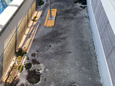 紫外線や雨水などの影響で、玄関庇の防水層が劣化し、撥水性の低下により、コケなどの汚れが溜まっています。