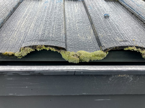 雨水や湿気などの影響で、屋根の小口にコケが付着
