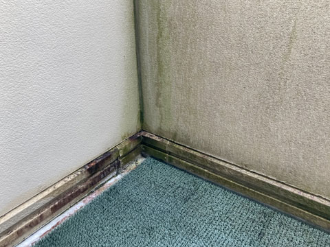 紫外線や雨水などの影響で外壁表面の塗膜が劣化し、撥水性が低下してコケなどの汚れが付着しています。